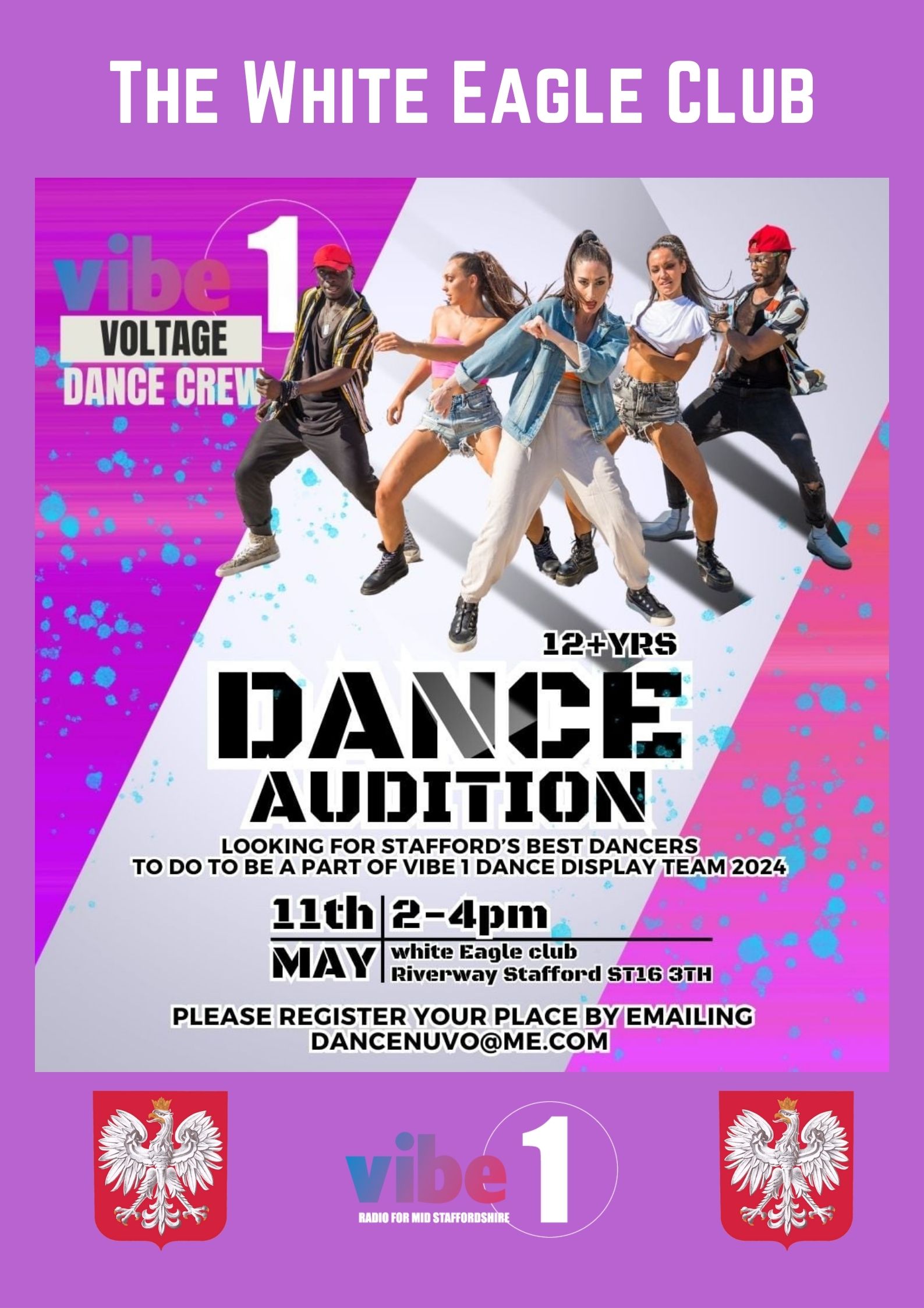 Vibe1 'Voltage' Dance Crew Auditions 