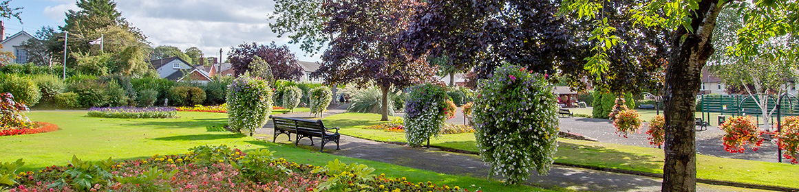 Photo of a sunny park with a bench and grass