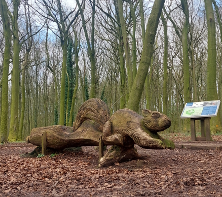 Wooden squirrel