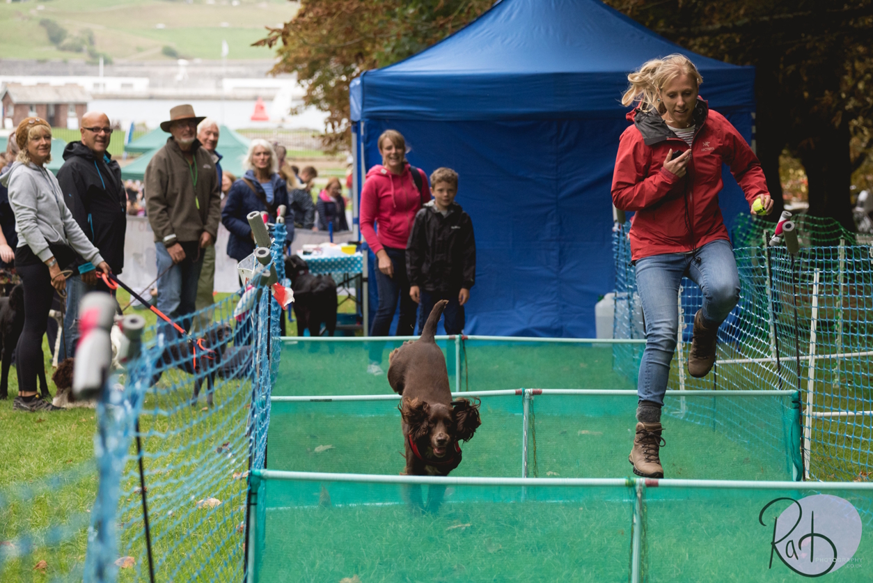 The Big Bark Festival